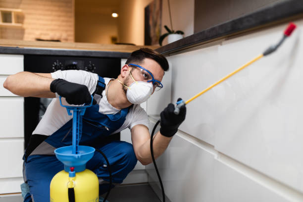 Best Bed Bug Extermination  in West Branch, IA
