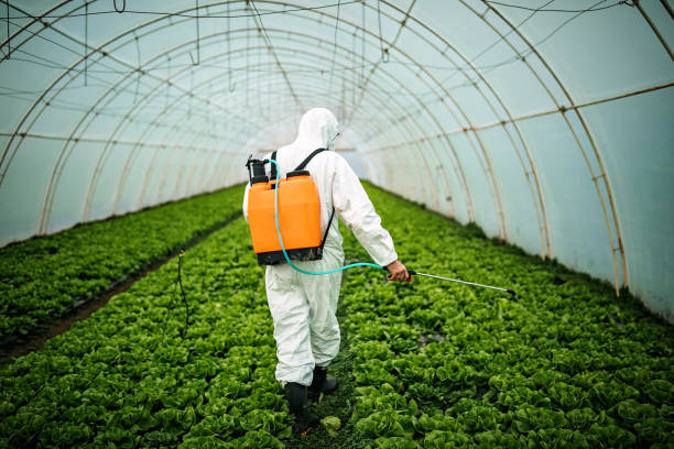 Reliable West Branch, IA Pest Control Solutions
