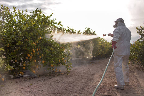 Best Pest Removal Services  in West Branch, IA