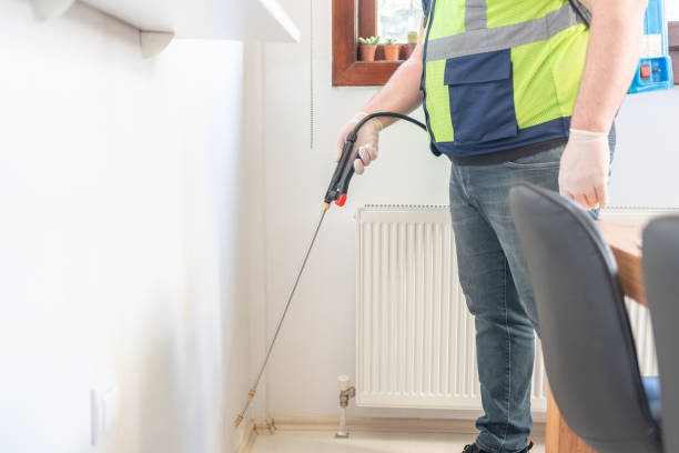 Best Flea Control Services  in West Branch, IA