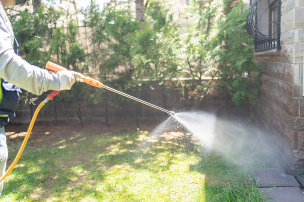 Best Bed Bug Extermination  in West Branch, IA