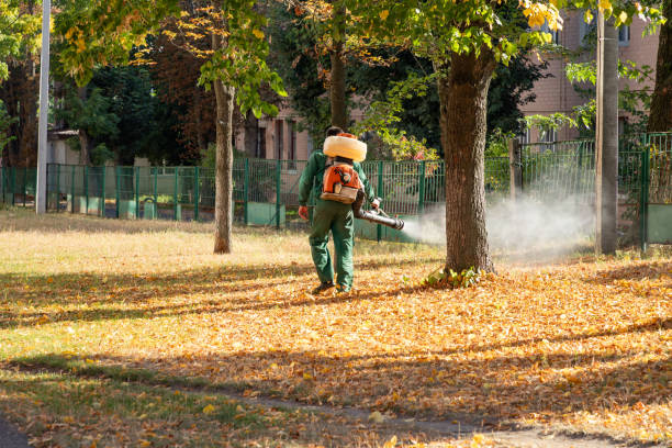 Best Termite Control Services  in West Branch, IA