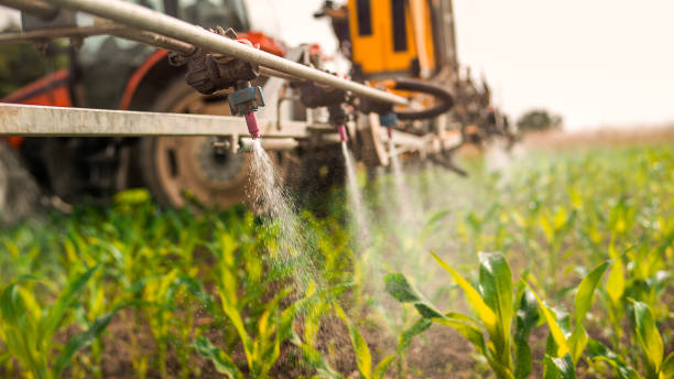 Pest Control for Restaurants in West Branch, IA